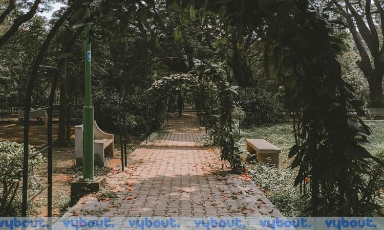 Sunset Walk at Cubbon Park with Usha