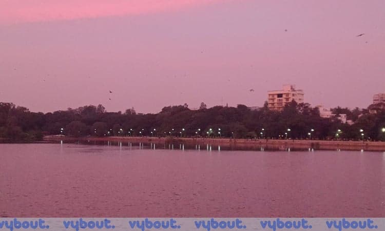 Sip & Stroll with Kamseng